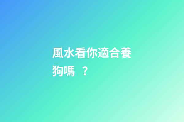 風水看你適合養狗嗎？